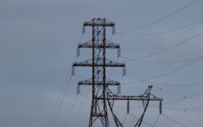 Wpływ infrastruktury elektroenergetycznej na środowisko i sposoby minimalizacji oddziaływania